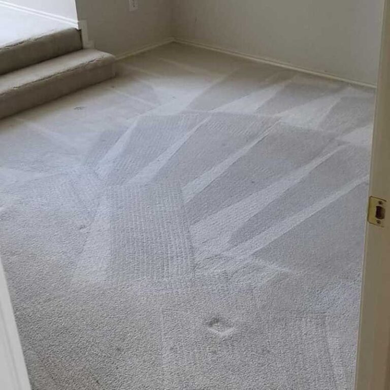 Carpet Cleaning REM Cleaning Services