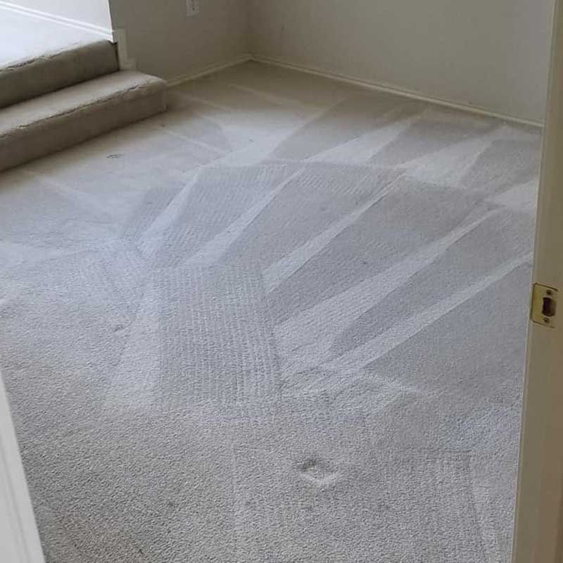 rem carpet cleaning